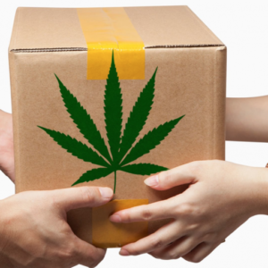 Marijuana consegnata a domicilio. Succede a Reggio Emilia