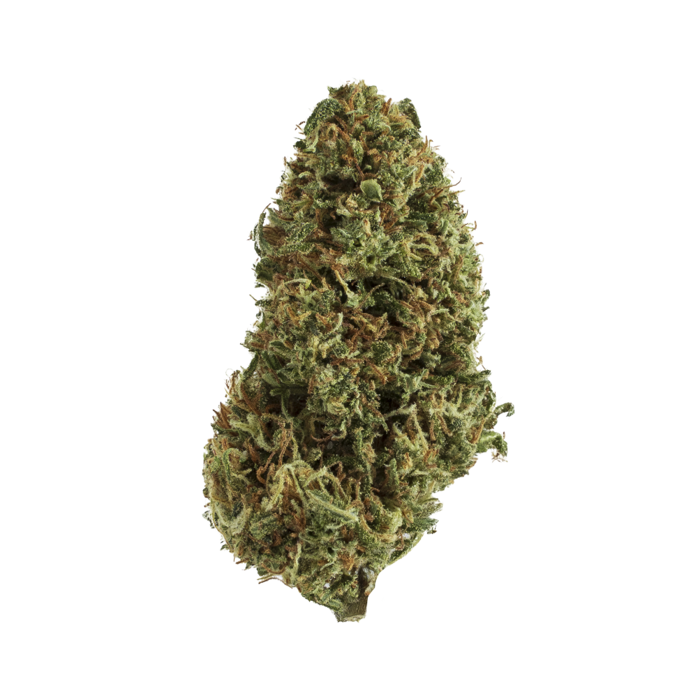 Orange CBD - CANNABIS LIGHT ERBA LEGALE TOP