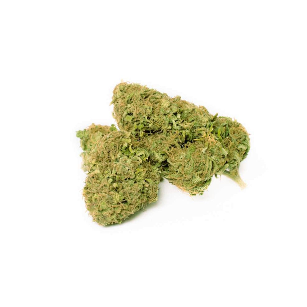 Therapy Cannabis Light CBD Erba Legale | MYHEMPIRE