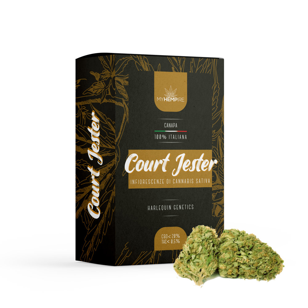 Harlequin CBD (COURT JESTER) - CANNABIS LIGHT ERBA LEGALE