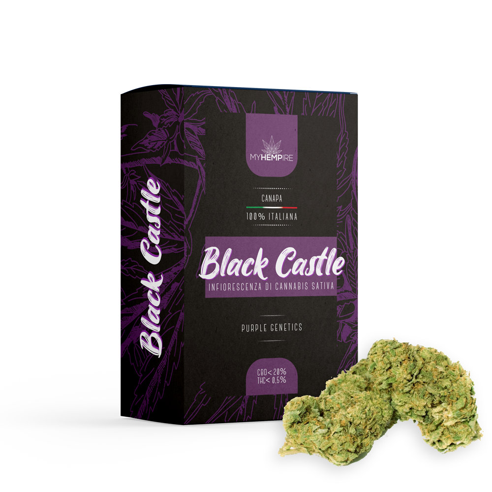 Purple CBD - Cannabis Light CBD Erba Legale | MYHEMPIRE