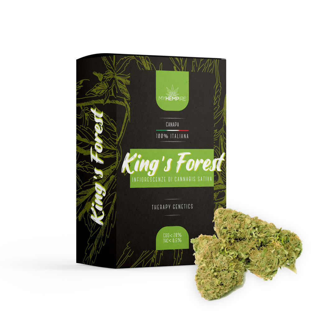 Therapy Cannabis Light CBD Erba Legale | MYHEMPIRE