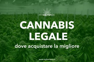 Dove acquistare cannabis legale in Italia ? La migliore Cannabis Light Erba Legale Online