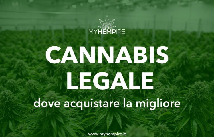 Dove acquistare cannabis legale in Italia ? La migliore Cannabis Light Erba Legale Online