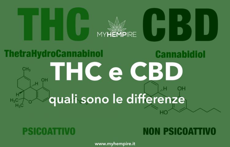 THC e CBD: Cosa sono? Ecco le differenze