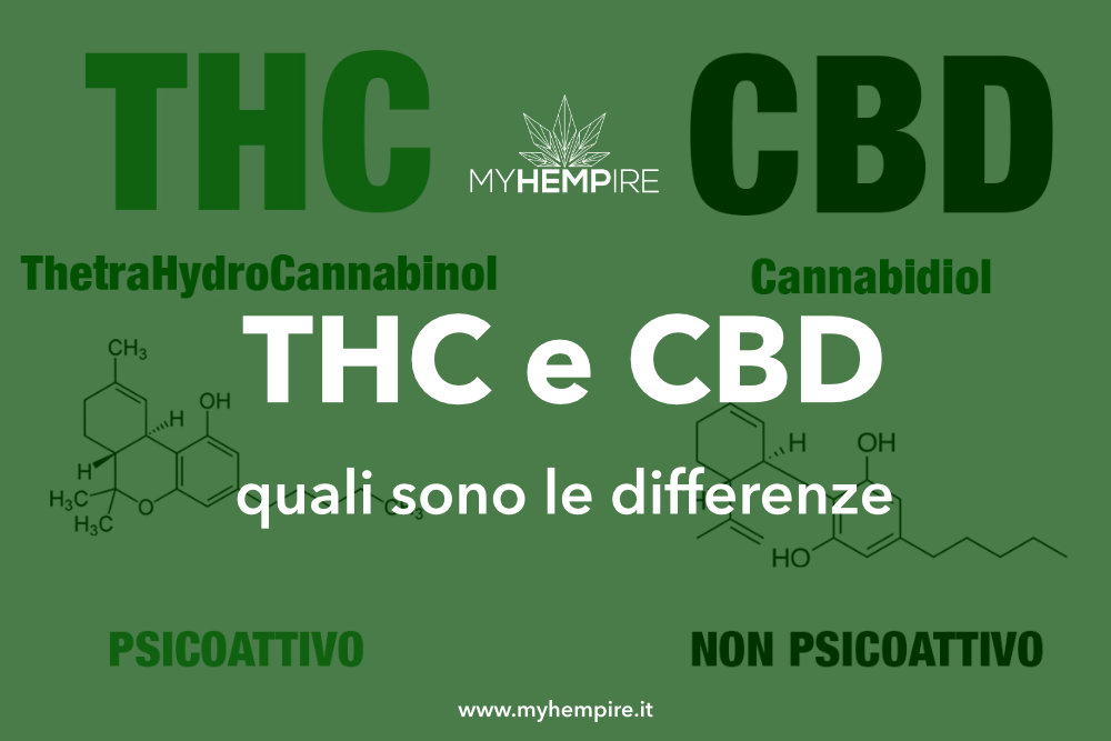THC e CBD: Cosa sono? Ecco le differenze