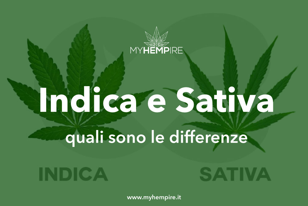 Indica e sativa - quali sono le differenze