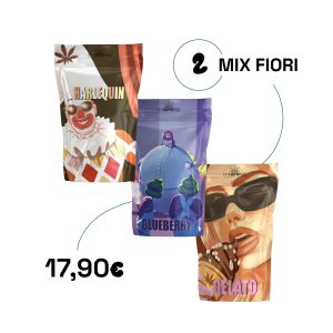 Mix 2 fiori: Harlequin, Blueberry, Gelato