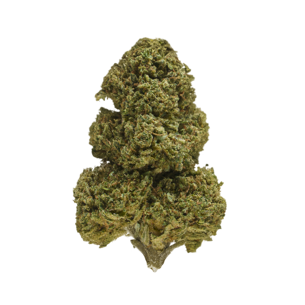 BZ-Queen CBD Cannabis Light