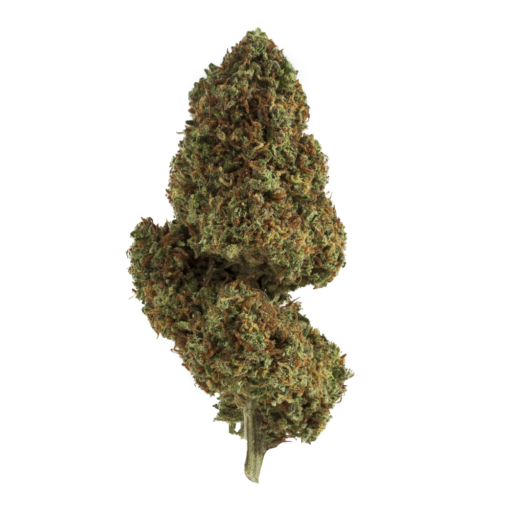 Gelato CBD - Cannabis Light