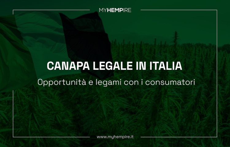 Canapa Legale in Italia: Opportunità e Legami Con i Consumatori