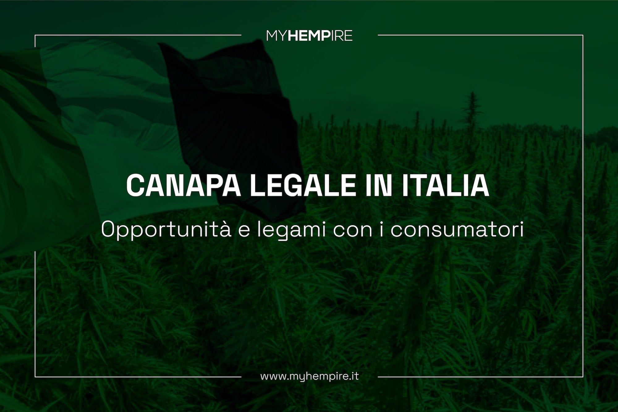 Canapa Legale in Italia: Opportunità e Legami Con i Consumatori