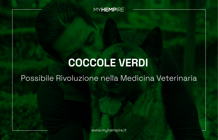 Cannabis e Medicina Veterinaria